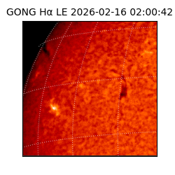 gong - 2026-02-16T02:00:42