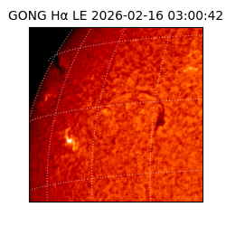 gong - 2026-02-16T03:00:42