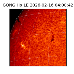 gong - 2026-02-16T04:00:42