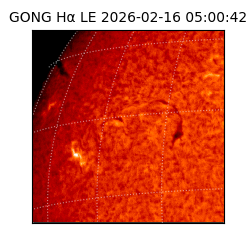 gong - 2026-02-16T05:00:42