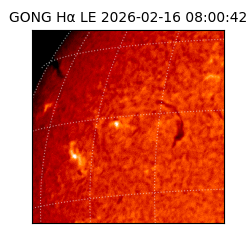 gong - 2026-02-16T08:00:42