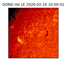 gong - 2026-02-16T10:00:42