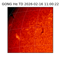 gong - 2026-02-16T11:00:22