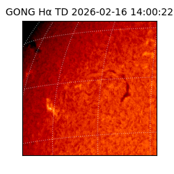 gong - 2026-02-16T14:00:22