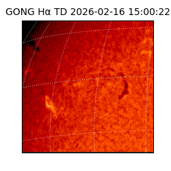 gong - 2026-02-16T15:00:22