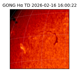 gong - 2026-02-16T16:00:22