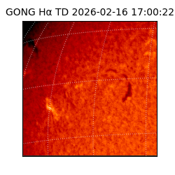 gong - 2026-02-16T17:00:22