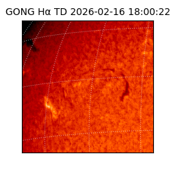 gong - 2026-02-16T18:00:22