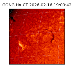 gong - 2026-02-16T19:00:42