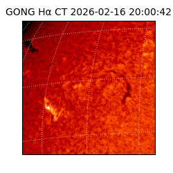 gong - 2026-02-16T20:00:42