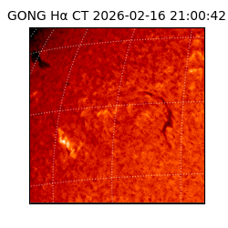 gong - 2026-02-16T21:00:42