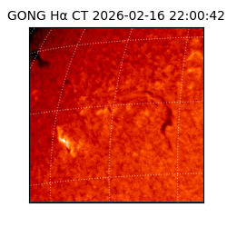 gong - 2026-02-16T22:00:42