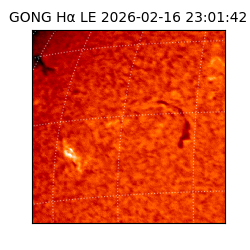 gong - 2026-02-16T23:01:42