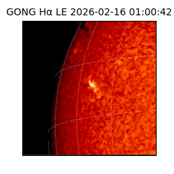 gong - 2026-02-16T01:00:42