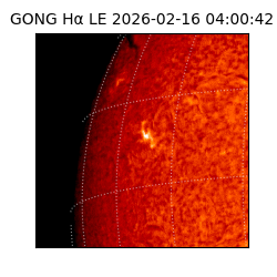 gong - 2026-02-16T04:00:42