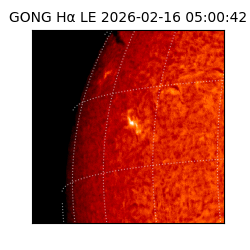 gong - 2026-02-16T05:00:42