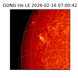 gong - 2026-02-16T07:00:42