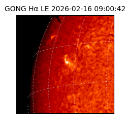 gong - 2026-02-16T09:00:42