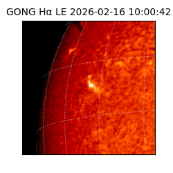 gong - 2026-02-16T10:00:42