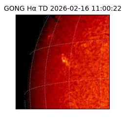 gong - 2026-02-16T11:00:22