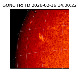 gong - 2026-02-16T14:00:22