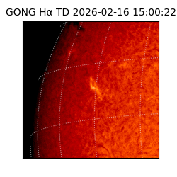 gong - 2026-02-16T15:00:22