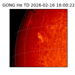 gong - 2026-02-16T16:00:22