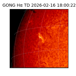 gong - 2026-02-16T18:00:22