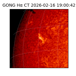 gong - 2026-02-16T19:00:42