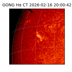 gong - 2026-02-16T20:00:42
