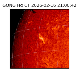 gong - 2026-02-16T21:00:42