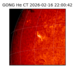 gong - 2026-02-16T22:00:42