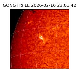 gong - 2026-02-16T23:01:42