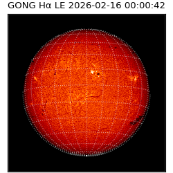 gong - 2026-02-16T00:00:42