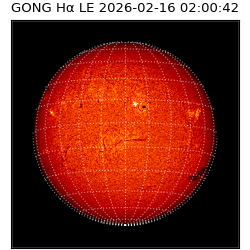 gong - 2026-02-16T02:00:42