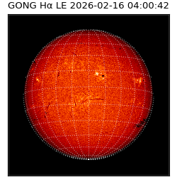 gong - 2026-02-16T04:00:42