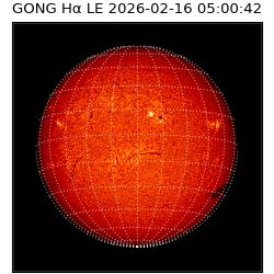 gong - 2026-02-16T05:00:42