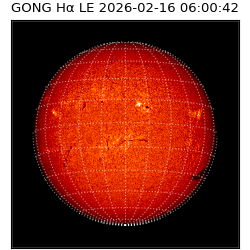 gong - 2026-02-16T06:00:42