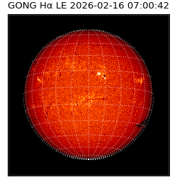 gong - 2026-02-16T07:00:42