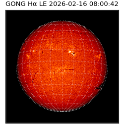 gong - 2026-02-16T08:00:42