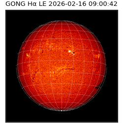 gong - 2026-02-16T09:00:42