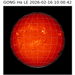 gong - 2026-02-16T10:00:42