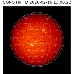 gong - 2026-02-16T13:00:22
