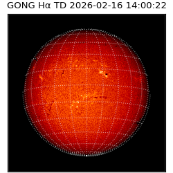 gong - 2026-02-16T14:00:22