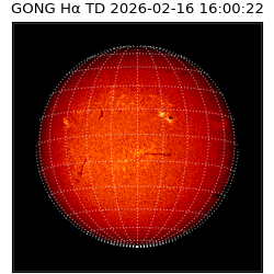 gong - 2026-02-16T16:00:22