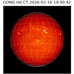 gong - 2026-02-16T19:00:42
