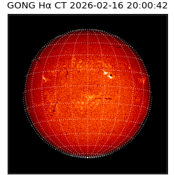 gong - 2026-02-16T20:00:42