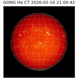 gong - 2026-02-16T21:00:42