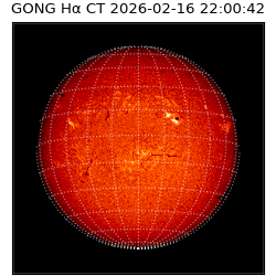 gong - 2026-02-16T22:00:42
