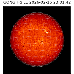 gong - 2026-02-16T23:01:42